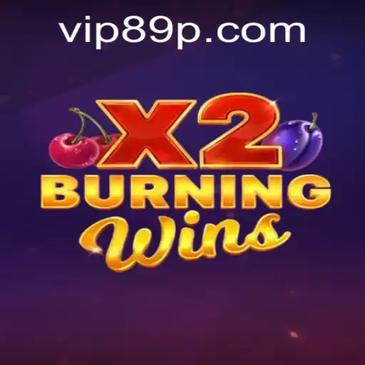 An In-Depth Look at the Exciting World of BurningWinsX2